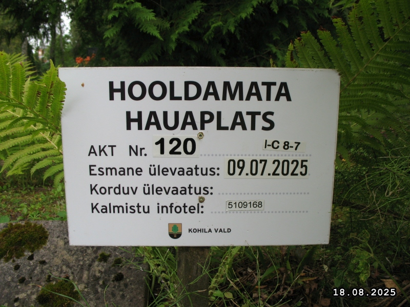 Hauaplatsi pilt 5