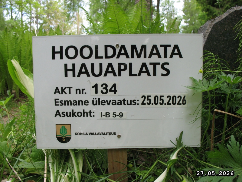 Hauaplatsi pilt 2